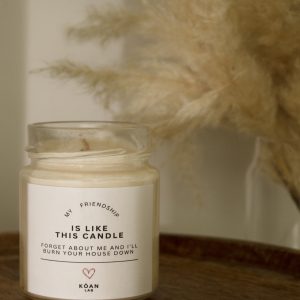 My Friendship is Like This Candle